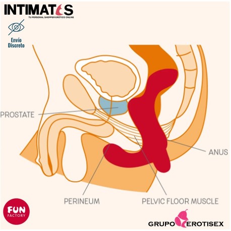 Duke · Vibrador prostático · Fun Factory, que puedes adquirir en intimates.es "Tu Personal Shopper Erótico Online" 