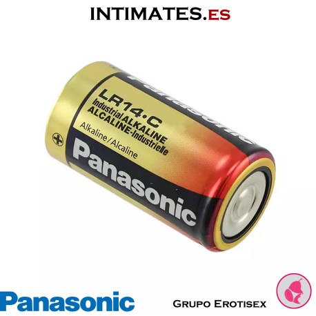Pilas LR14 1,5 V 2u · Panasonic