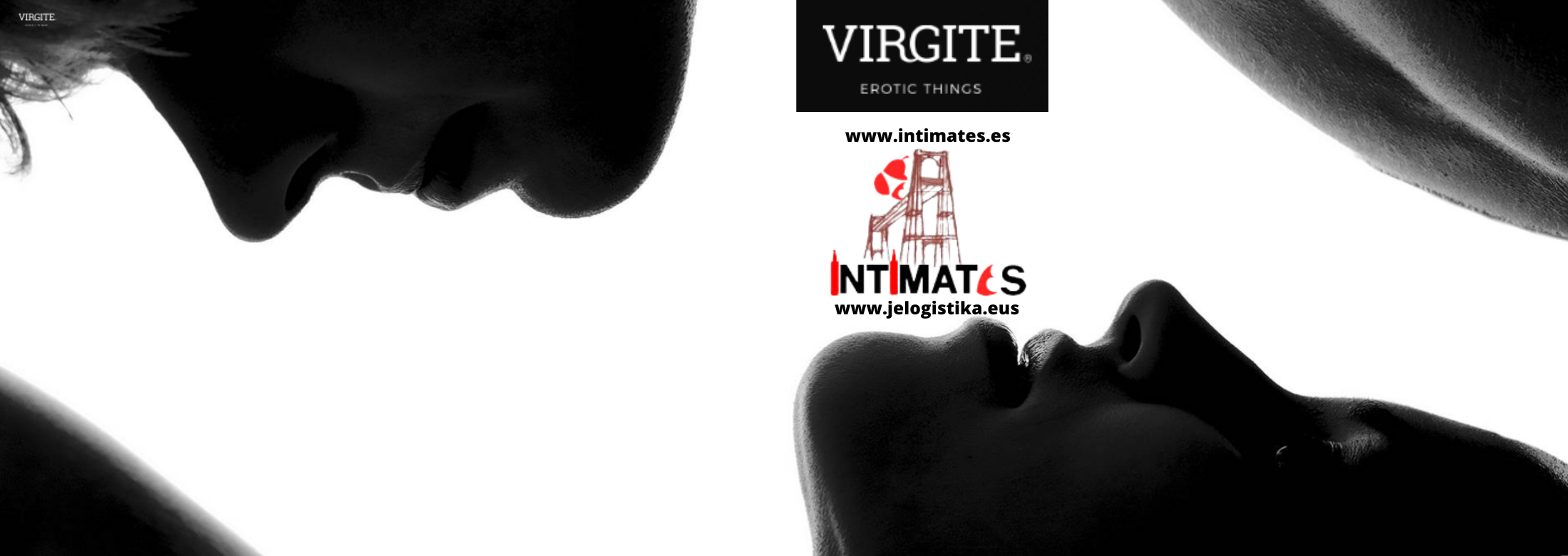 Virgite Vibrators NE.png